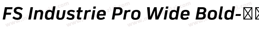 FS Industrie Pro Wide Bold字体转换